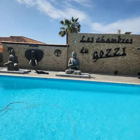 Du Gozzi *